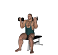 Shoulder Press - Seated Dumbbell Rotation